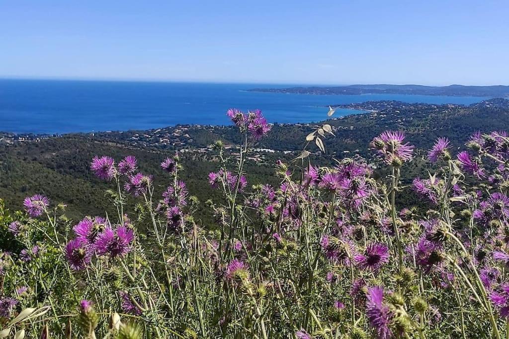 Aphrodite By Kleidos - Tres Belle Maison 6 P Climatisee Golfe Sainte Maxime Roquebrune-sur-Argens Exterior photo